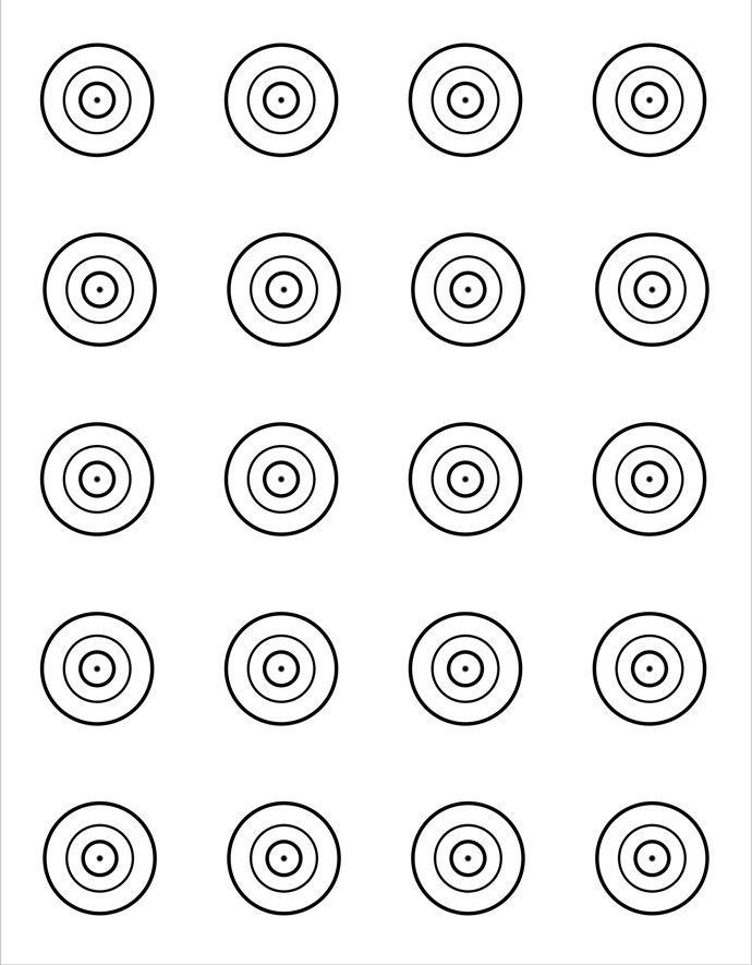20 bull target